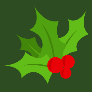 Spreading Holiday Cheer: Embracing the Magic of December